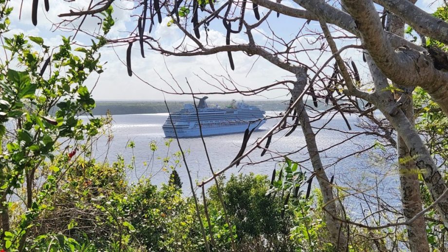 Carnival Cruise Ship Navigating At Sea