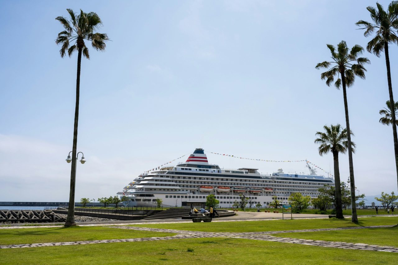 a cruise ship docked at a pier with palm trees