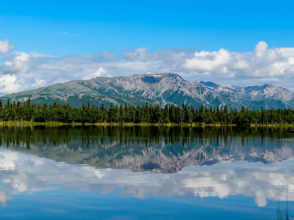 Denali National Park Alaska