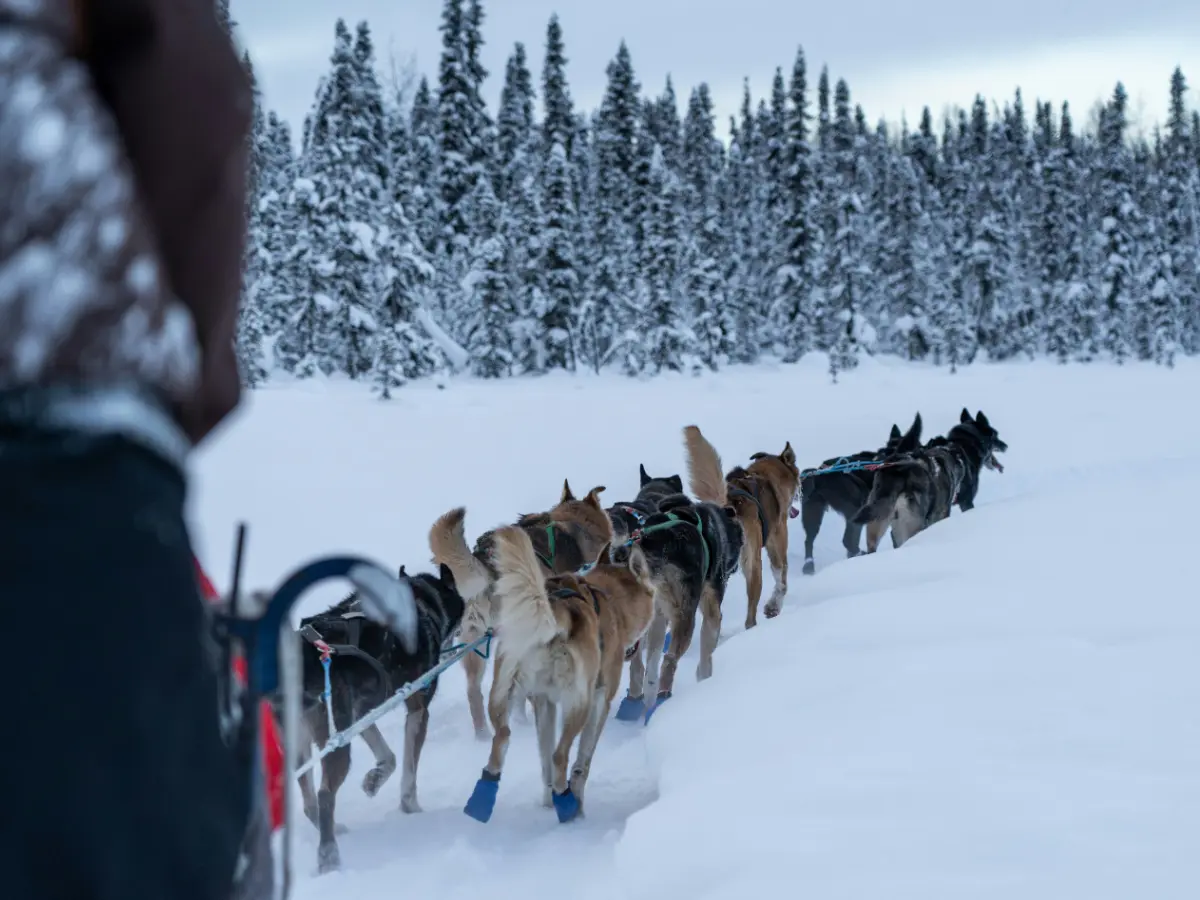Alaska Cruisetour