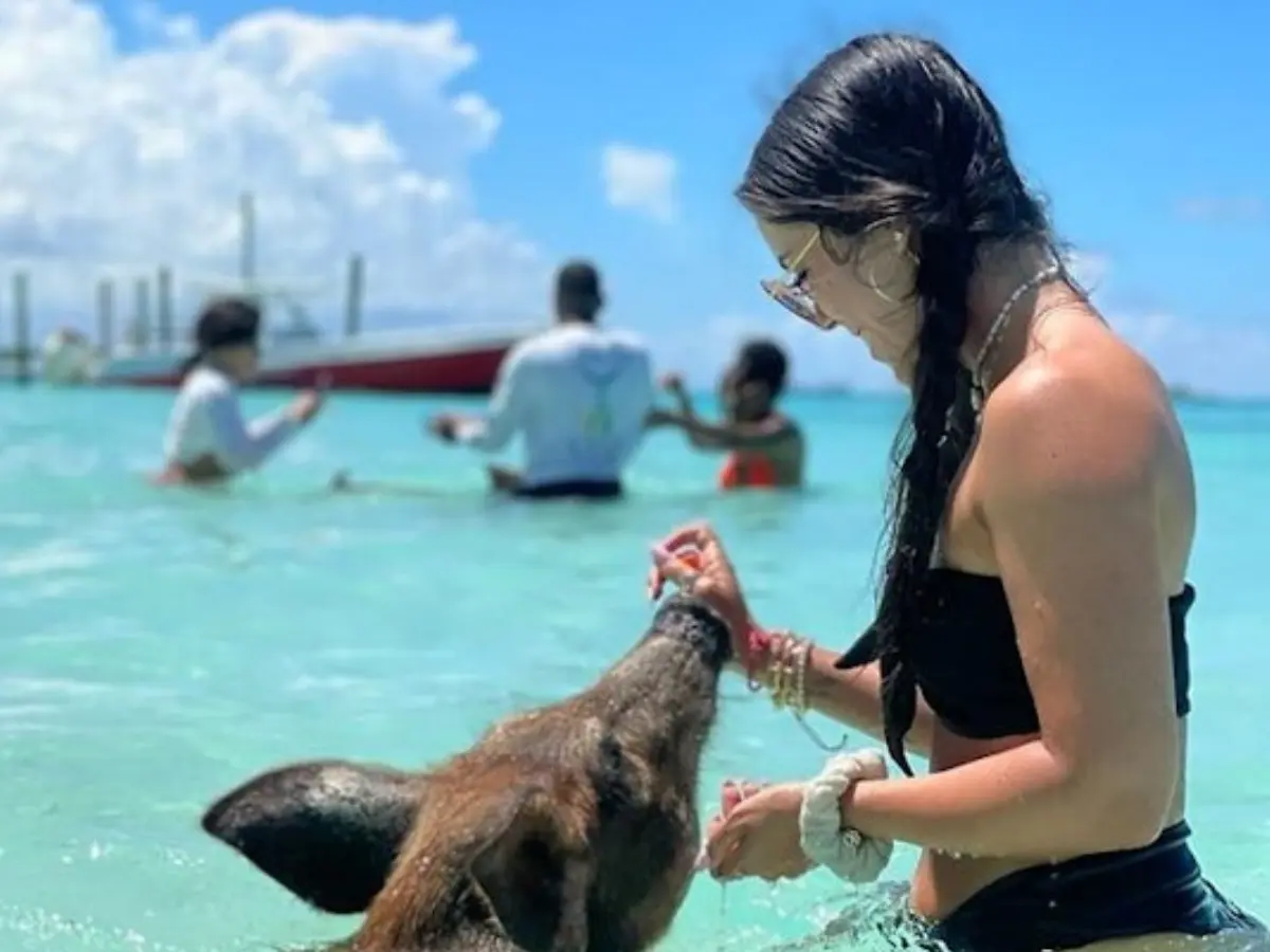 Swimming with pig