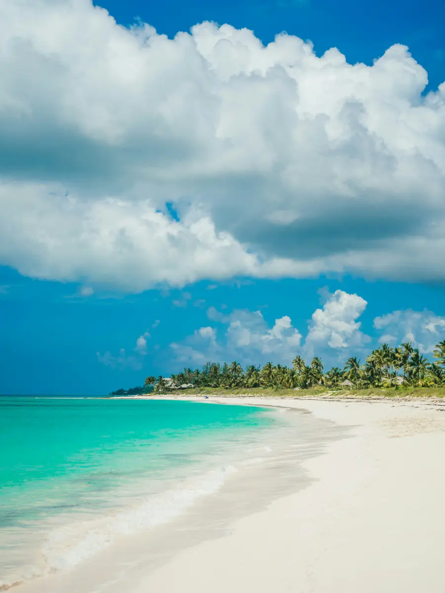 Amazing Beach of Bahamas