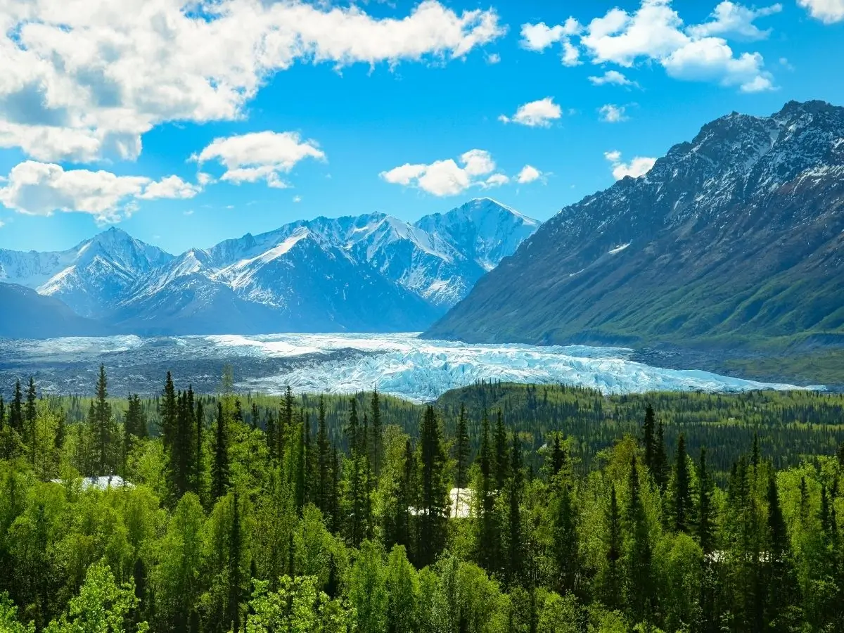 Alaska Cruise Excursions