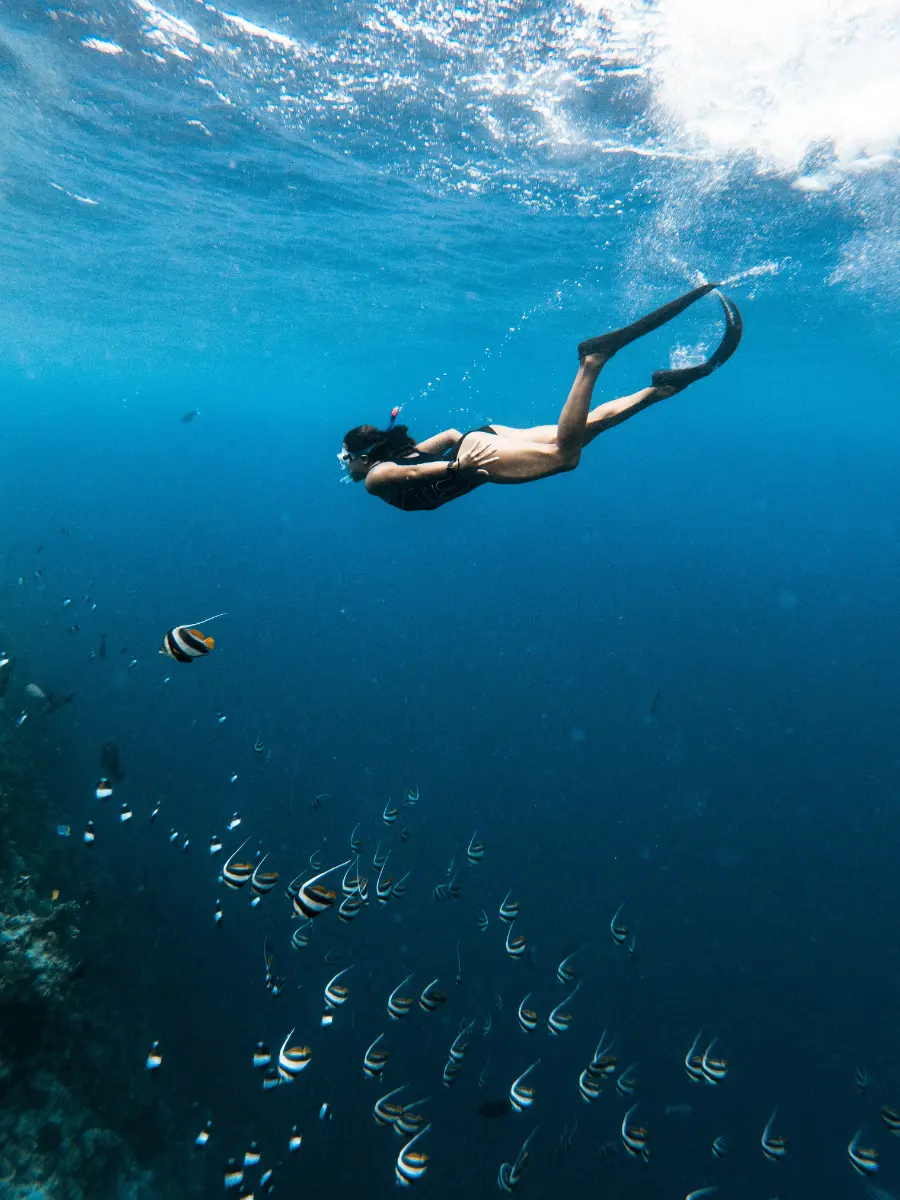 Snorkelling in Bahamas