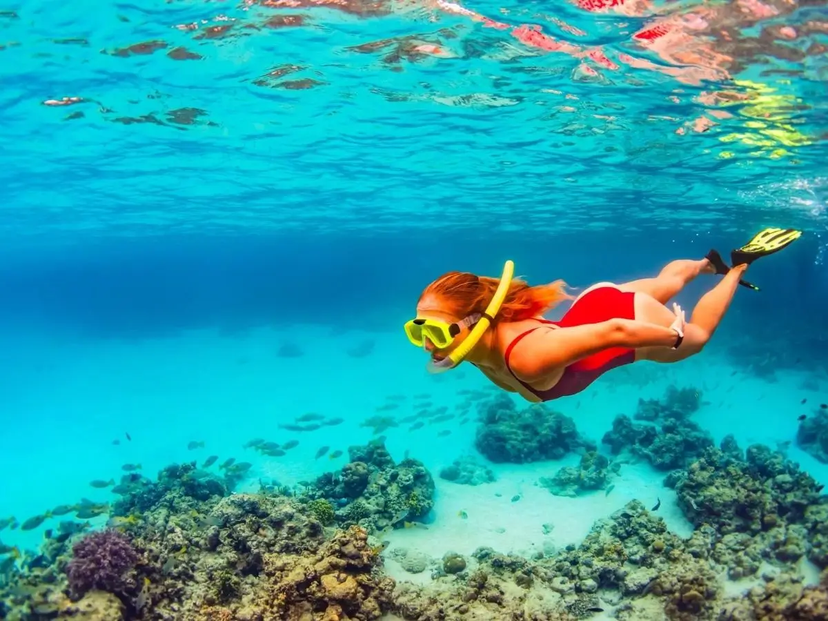 Snorkelling in Bahamas