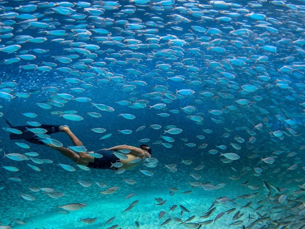 Freediving Bonaire