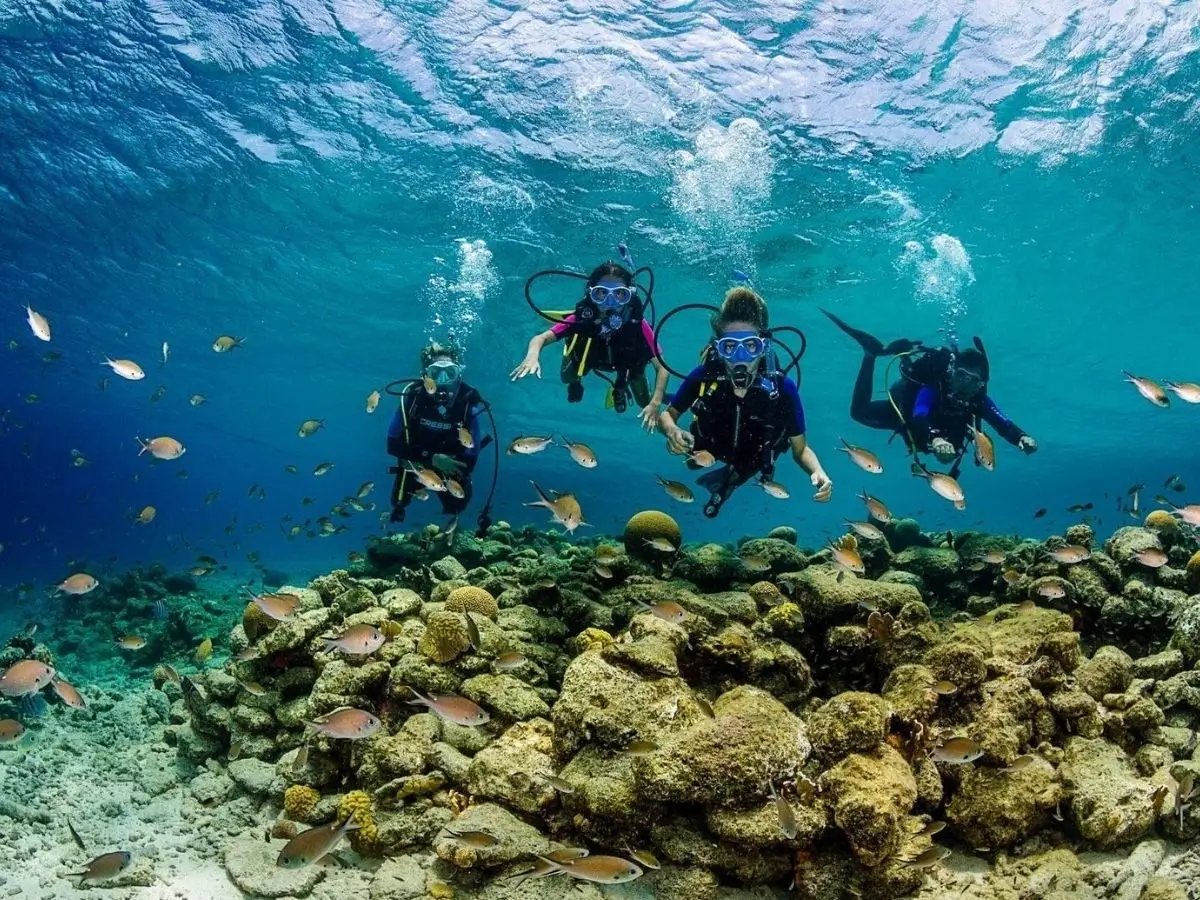 Snorkelling