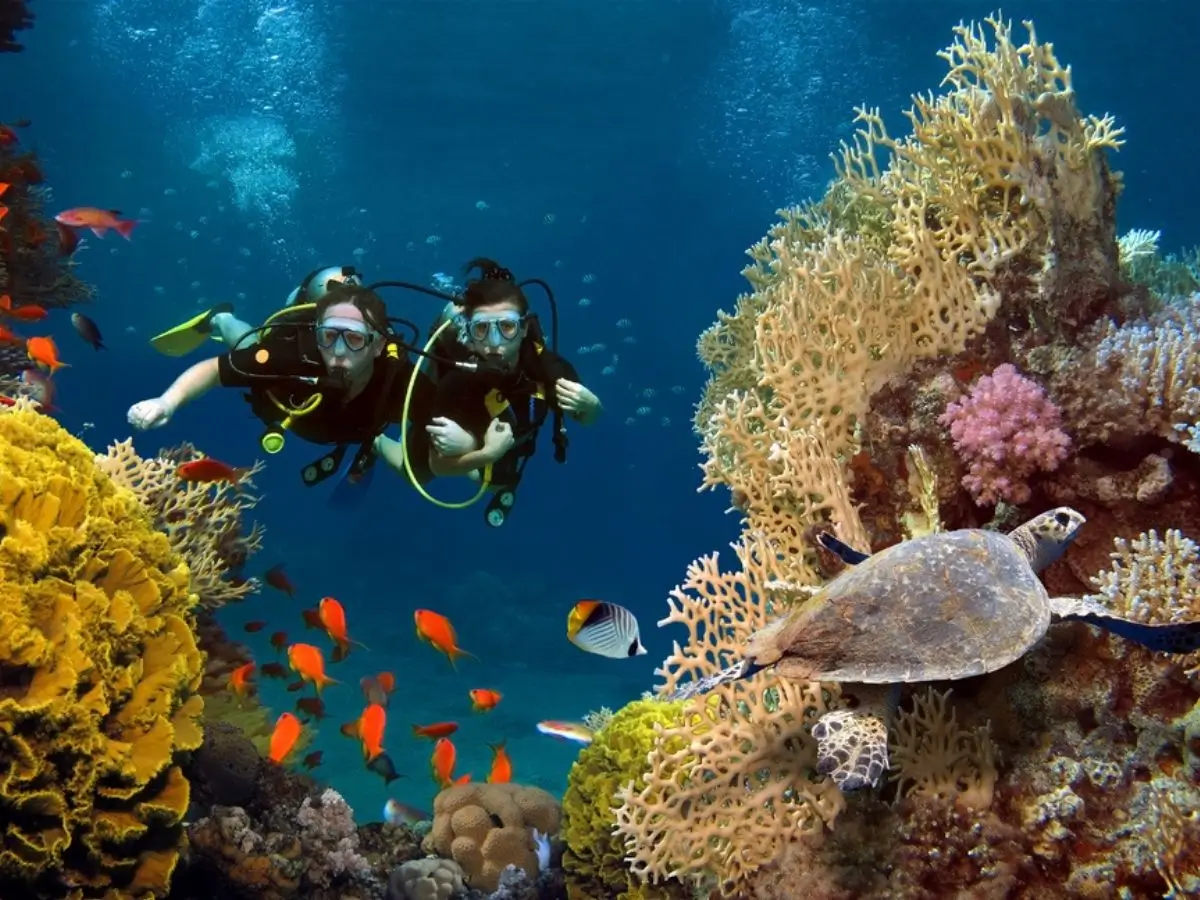 Couple scuba diving