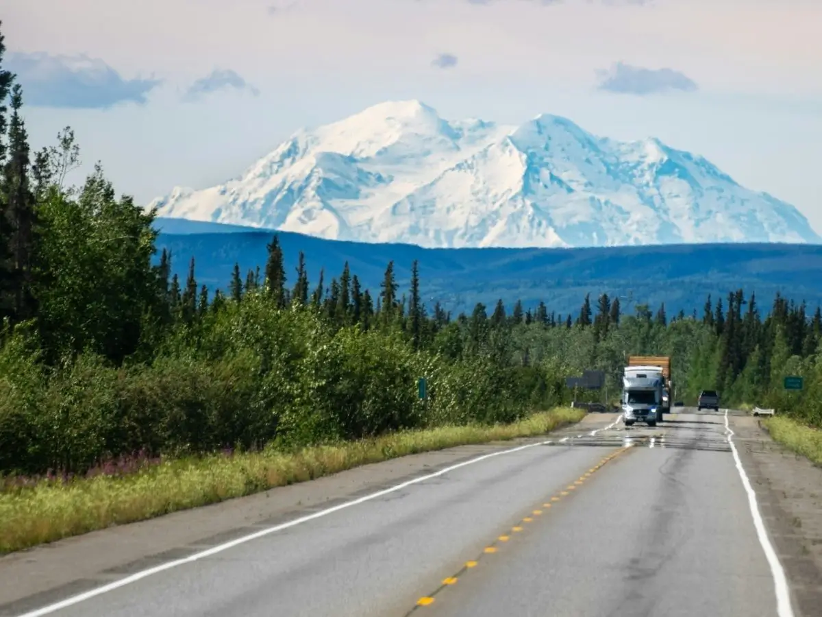 Denali from the highway