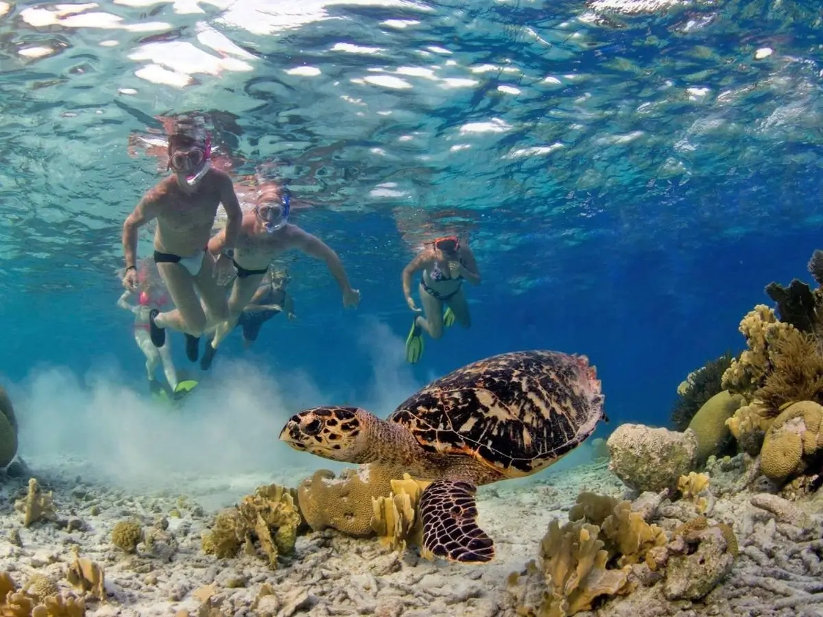 Snorkelling 