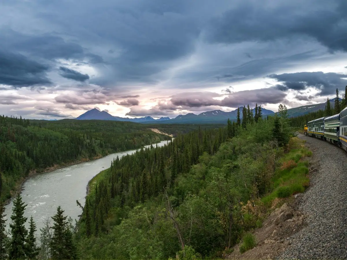 Denali Cruise