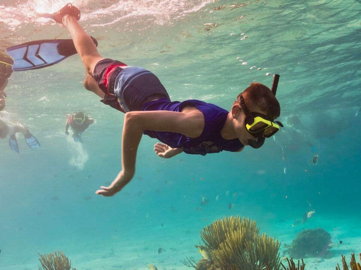 Snorkeling and Diving