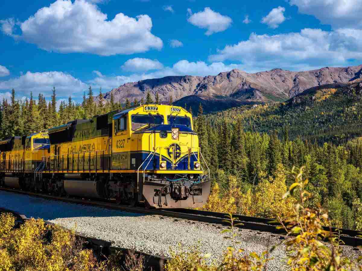 Alaska train from Denali