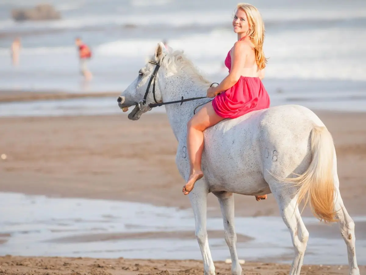 Romantic Mexican Riviera Cruise