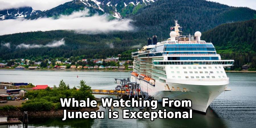 Whale Watching From
Juneau is Exceptional