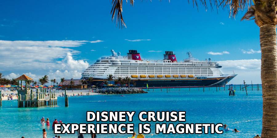 Disney Cruise 
Experience is Magnetic