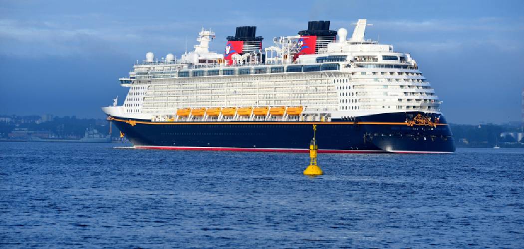 Disney Cruise Travel Agent Rates
