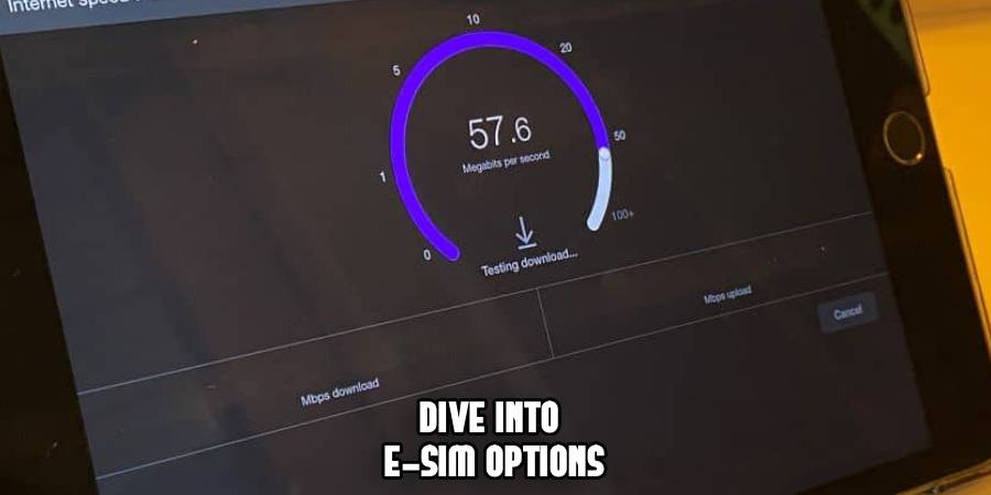 Dive Into 
eSim Options