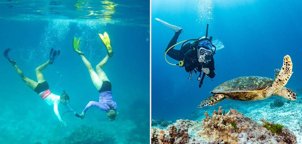 Enjoy Top-tier Scuba Diving in Bermuda