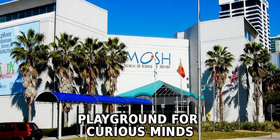 Playground for 
Curious Minds