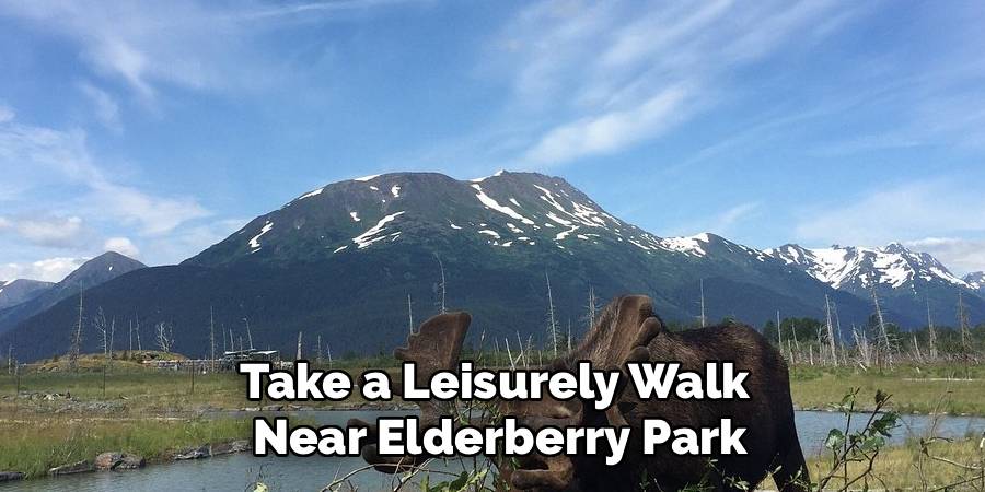 Take a Leisurely Walk 
Near Elderberry Park
