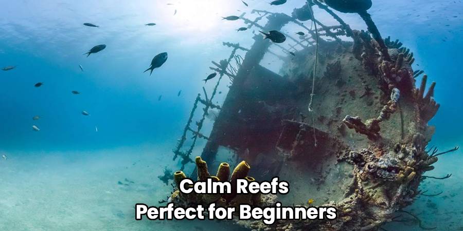 Calm Reefs
Perfect for Beginners
