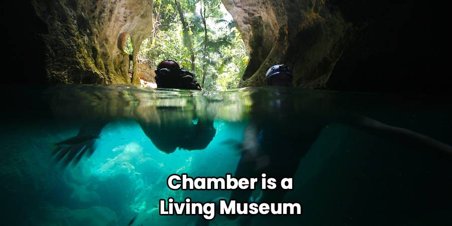  Chamber is a 
Living Museum