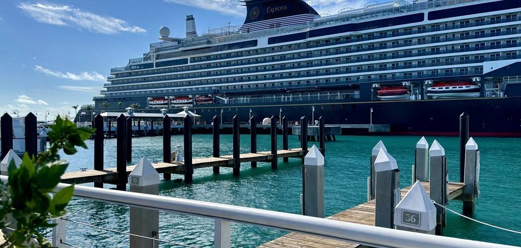 Cruise Travel Agent