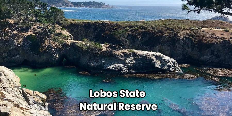 Lobos State Natural Reserve