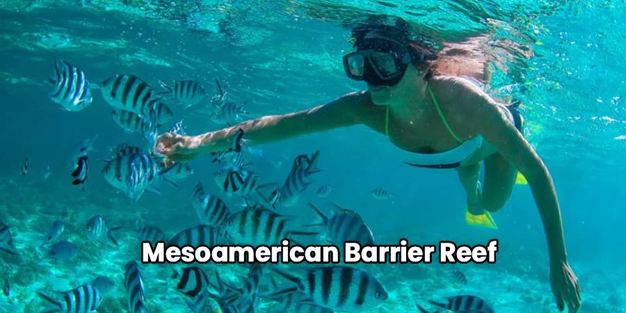 Mesoamerican Barrier Reef