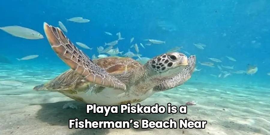Playa Piskado is a 
Fisherman’s Beach Near