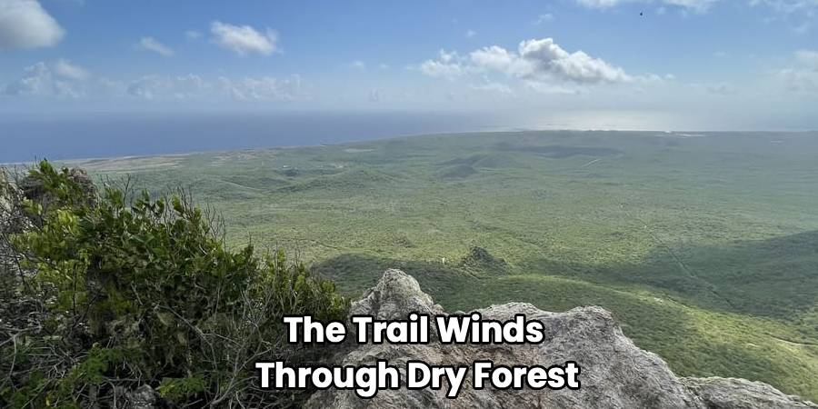 The Trail Winds 
Through Dry Forest