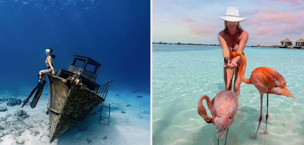 Things To Do In Aruba