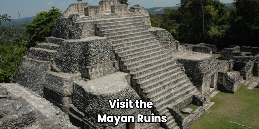 Visit the 
Mayan Ruins