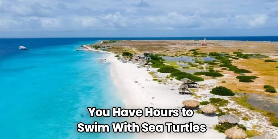 You Have Hours to 
Swim With Sea Turtles