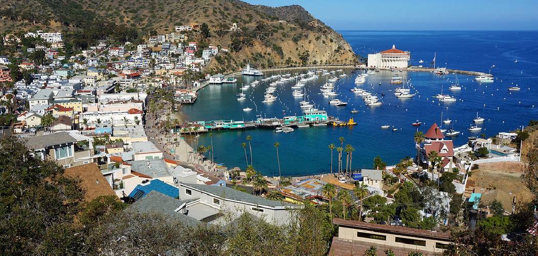 How To Get Catalina Island From Los Angeles
